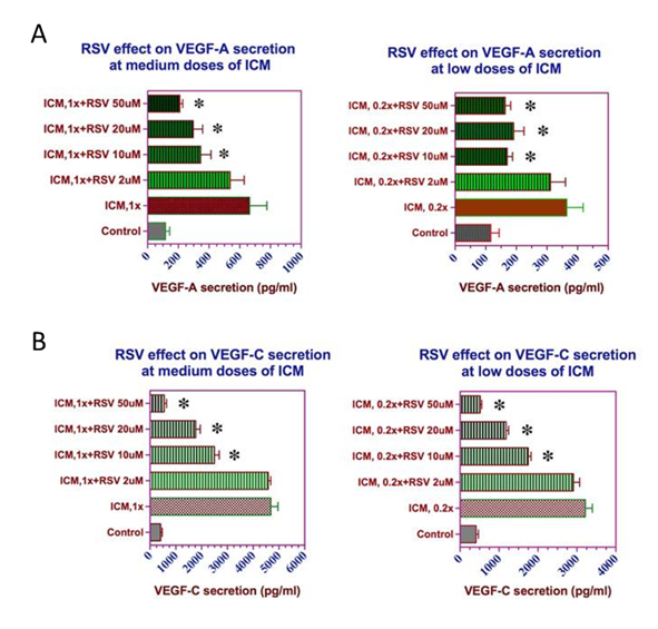 Resveratrol Suppresses Expression of VEGF by Human Retinal Pigment Epithelial Cells Potential