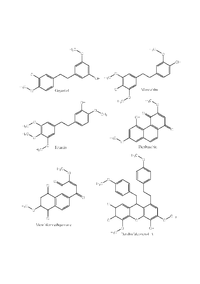 Dendrobium: Sources of Active Ingredients to Treat Age-Related 
