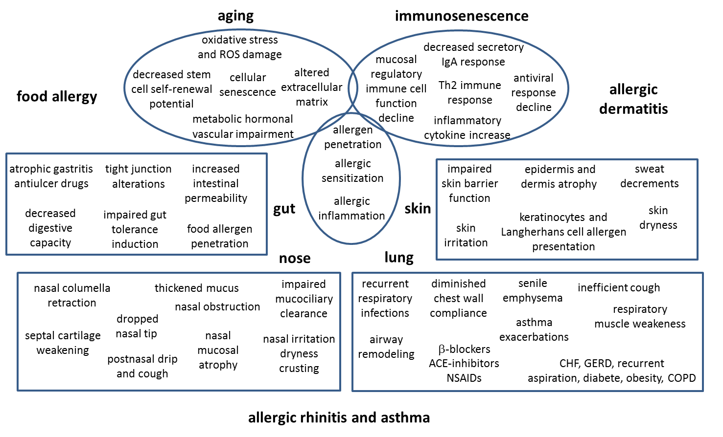 allergic rhinitis ppt