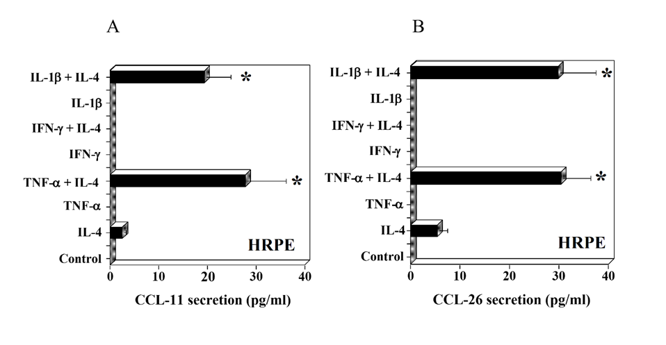 campylobacter features detection