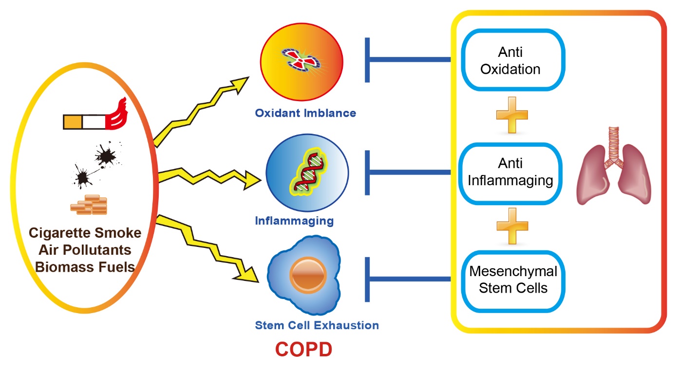 copd stem cell treatment