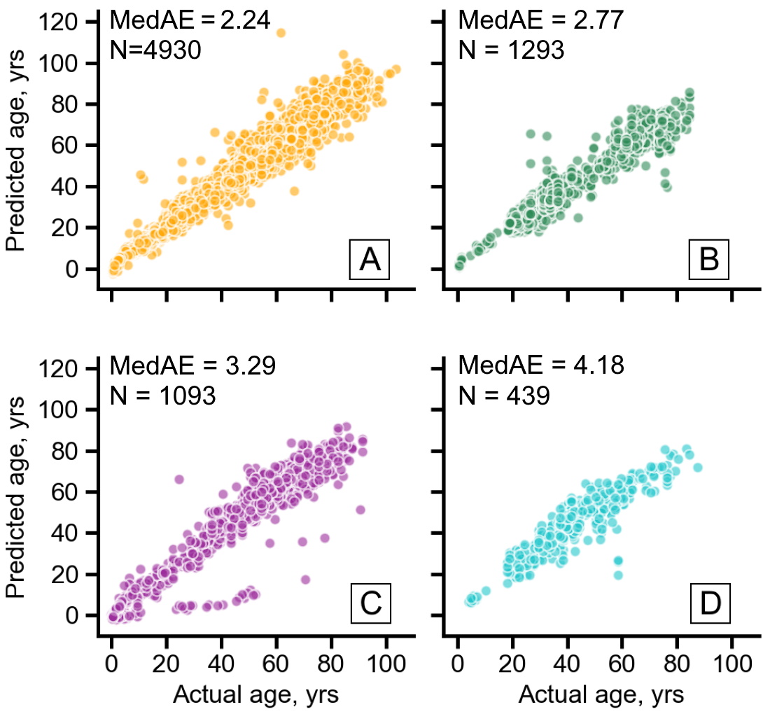 DeepMAge A Methylation Aging Clock Developed with Deep Learning
