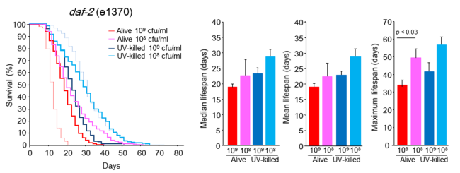 c elegan more lipid lifespan Metabolic regulation of from a C. elegans perspective | Genes & Nutrition Lipid metabolism and ageing in