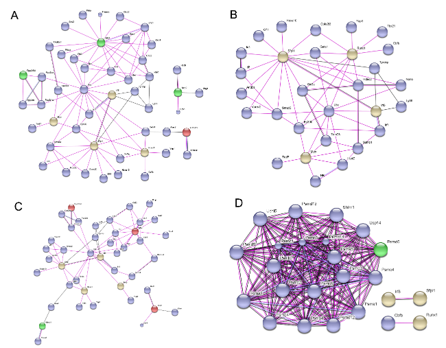 高品質の人気 the of Analysis Proteomic Peri-Infarct Human after Area その他