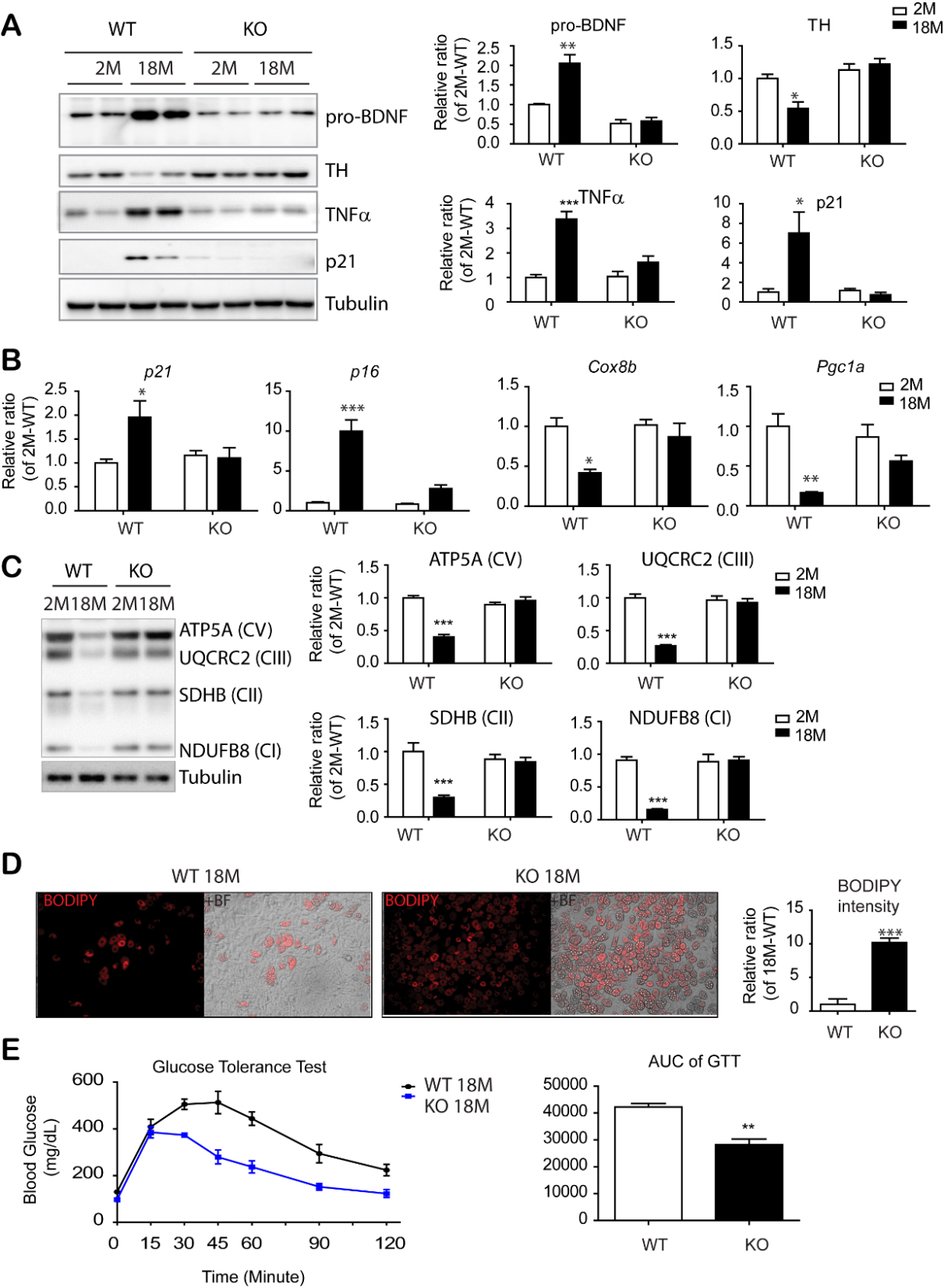 can ghk cu help with eczema GHK-Cu Peptide