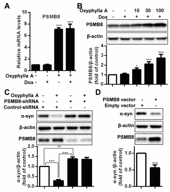 専用ページ 3 febs70042-fig-0003-m.jpg