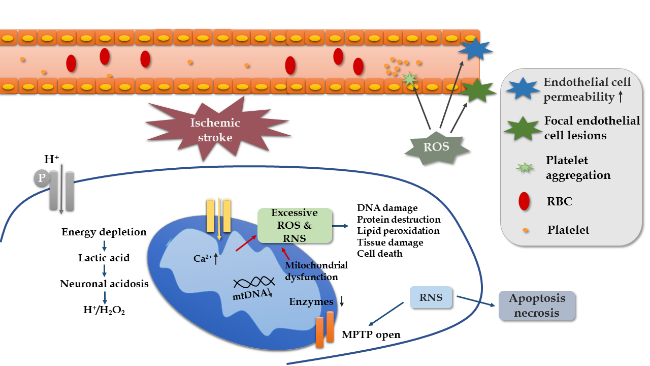 【abc】 Full article: In vitro models to evaluate multidrug