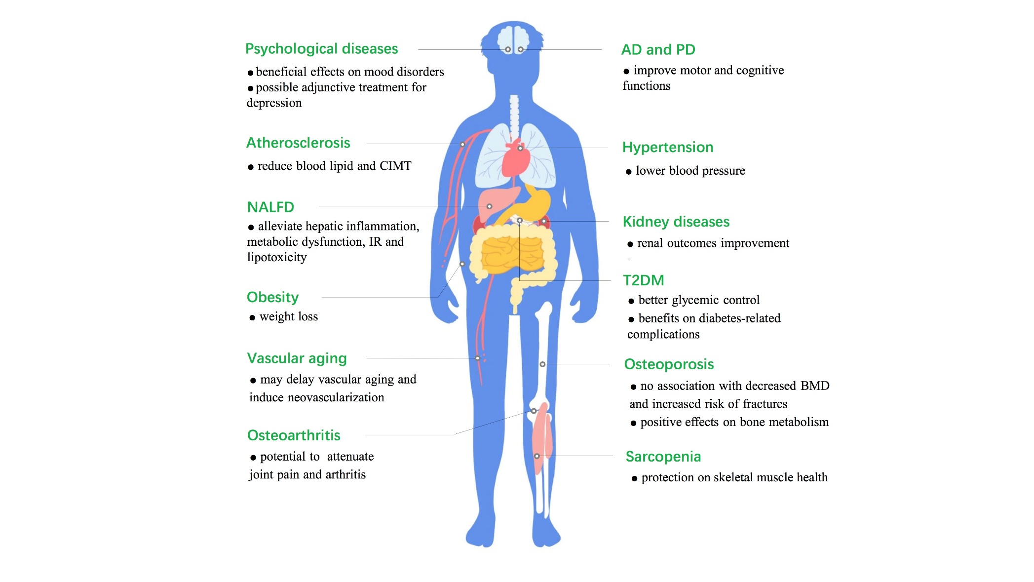 glp-1 obesity drug news today sep 30 2025 Trump administration announces deal to lower weight loss drug prices for  many Americans