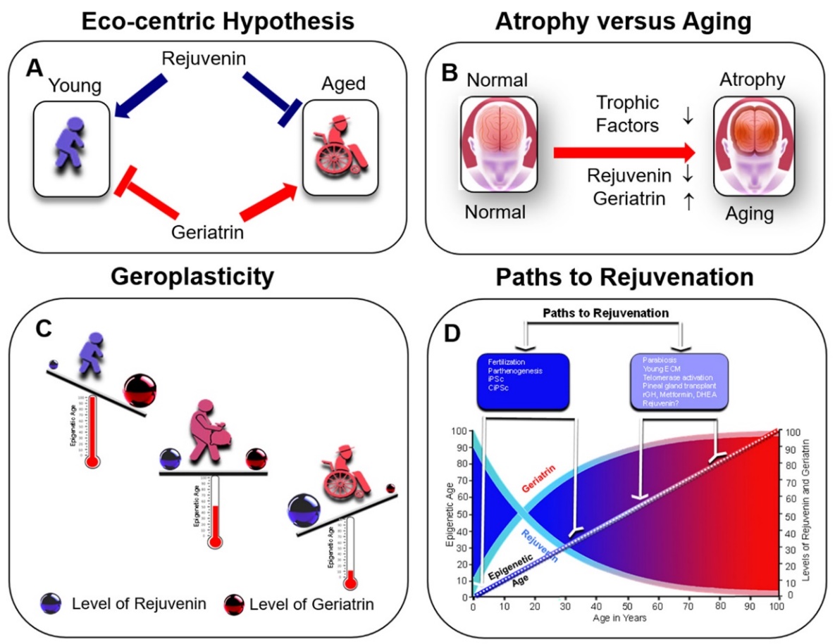 Resolving Geroplasticity to the Balance of Rejuvenins and Geriatrins