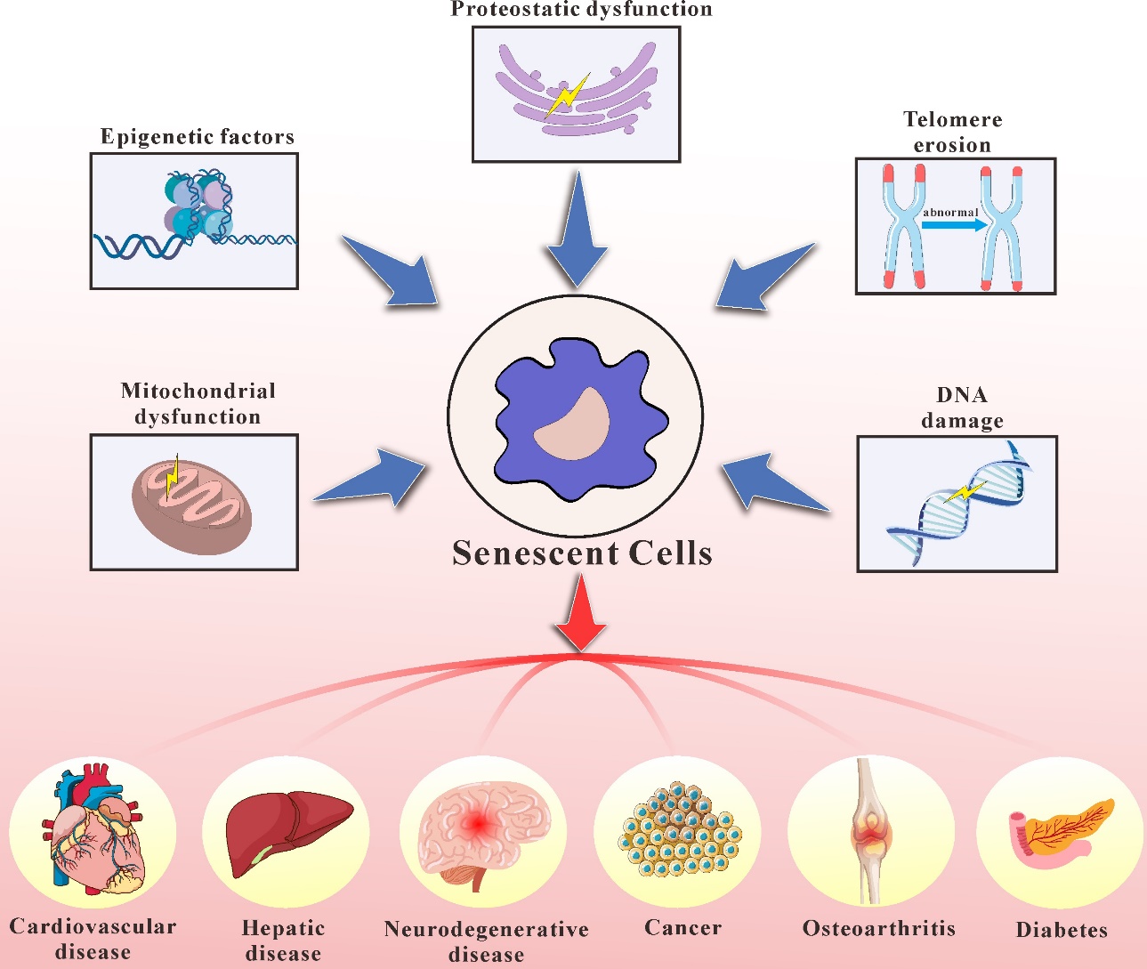 how to mix ghk-cu powder ghk cu powder Buy GHK-Cu
