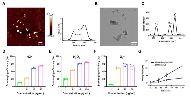 Empowering multicomponent alloys with unique nanostructure