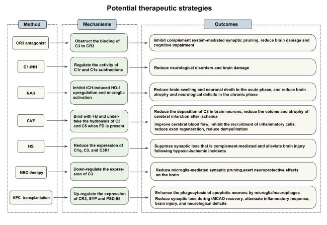 The Role of the Complement System in Synaptic Pruning after