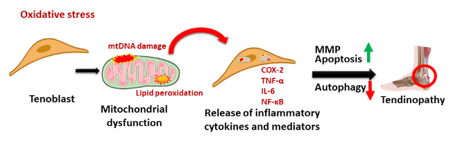 ghk cu peptide reconstitution How long does 100mg of GHK-Cu last: complete vial duration and usage guide