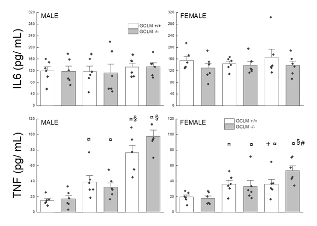 Lifelong Glutathione Deficiency in Mice Increased Lifespan and Delayed Age-Related Motor Declines