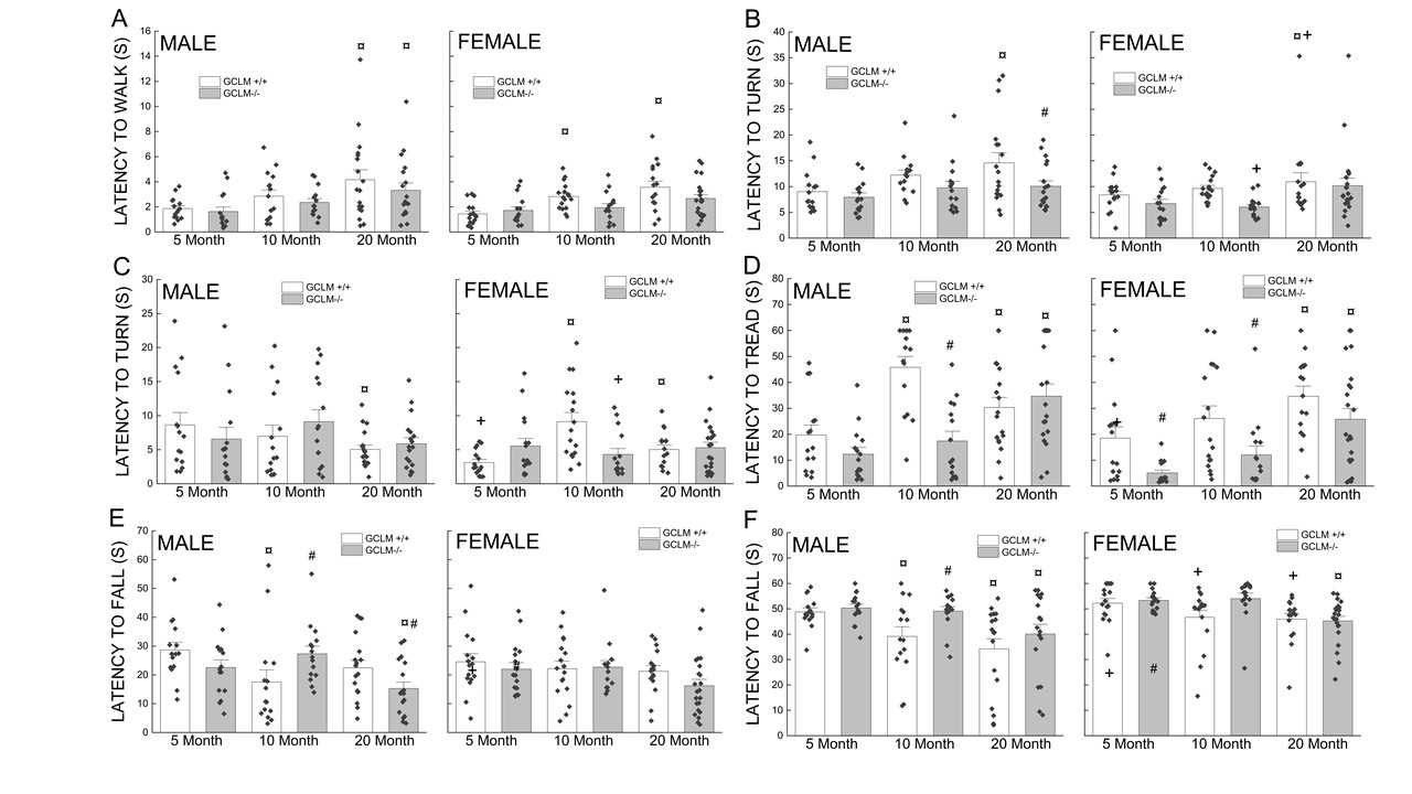 Lifelong Glutathione Deficiency in Mice Increased Lifespan and Delayed Age-Related  Motor Declines