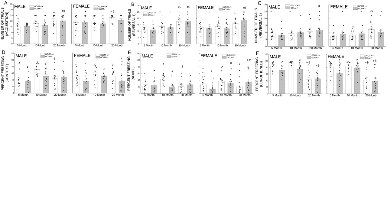 Lifelong Glutathione Deficiency in Mice Increased Lifespan and Delayed Age-Related  Motor Declines