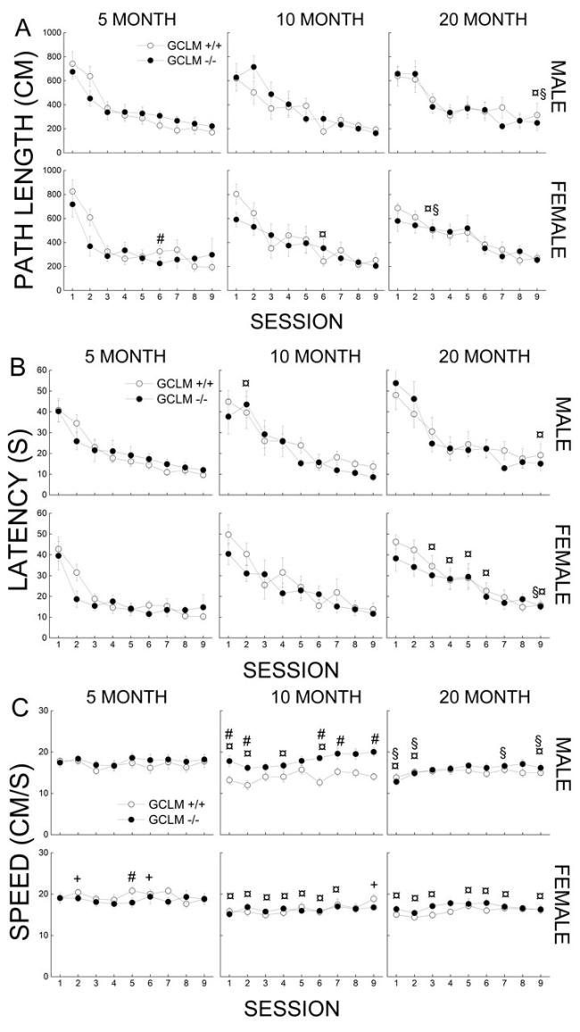 cjc 1295 ipamorelin perimenopause benefits evidence CJC-1295/Ipamorelin for Women: GH Therapy After 35