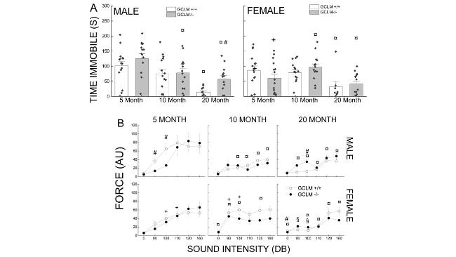 Lifelong Glutathione Deficiency in Mice Increased Lifespan and Delayed Age-Related Motor Declines