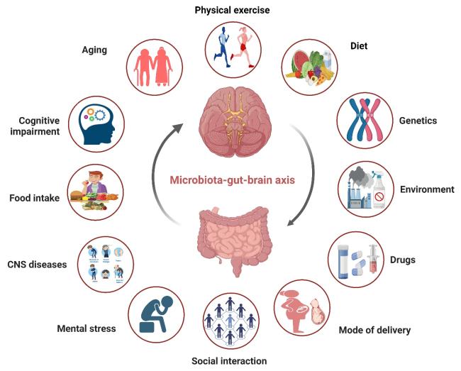 Gut Microbiota-Immune System Interactions in Health and