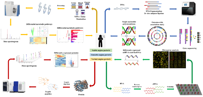 Multi-Omics Research on Angina Pectoris: A Novel Perspective