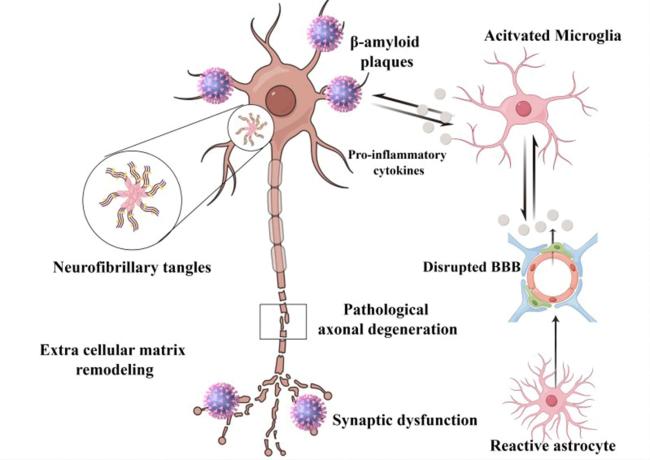 ああ CHRYSLER 300 C LX Sat Nav Navigation ECU Control Unit P05064024AA
