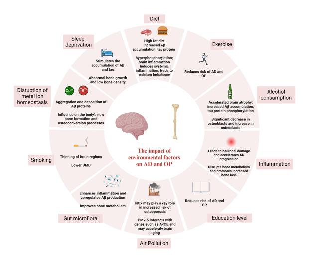 Interconnected Pathways of Alzheimer's Disease and Osteoporosis: A