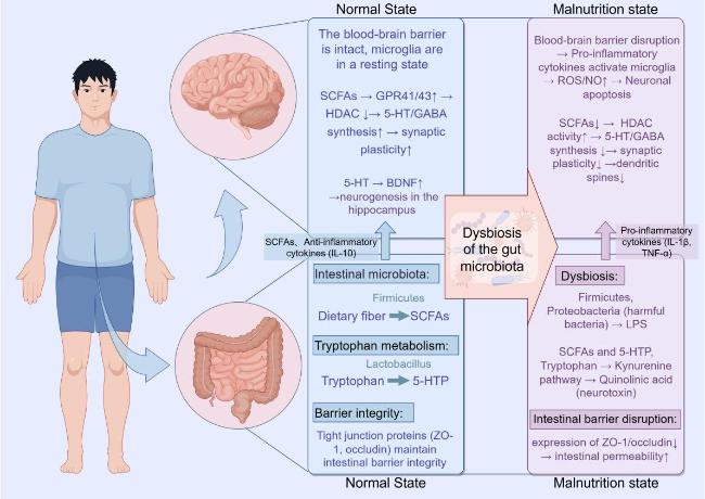サンプル2 Dual Challenges in the Context of Healthy Aging: A Comprehensive