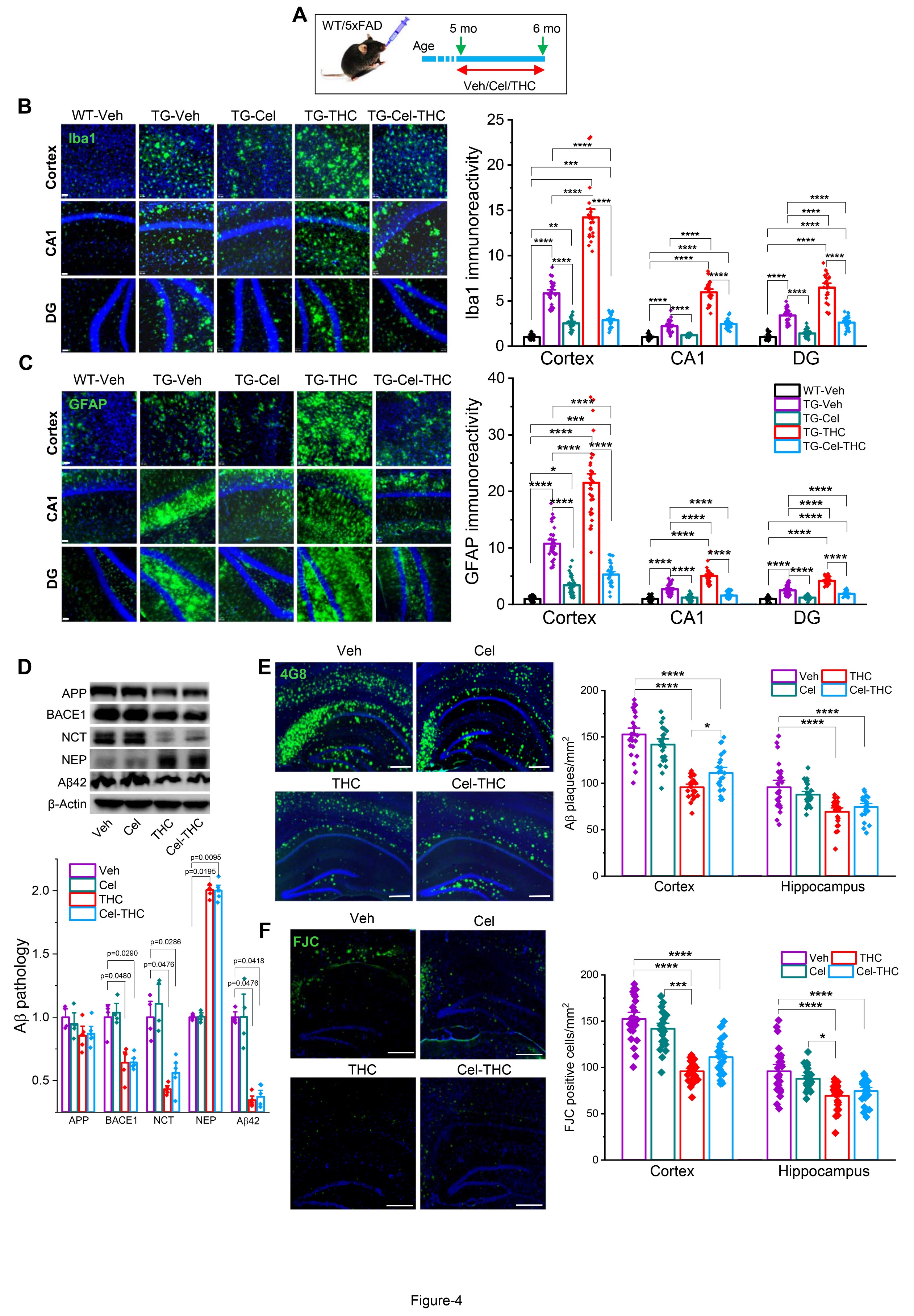 A Combination of Low-Dose Δ9-THC and Celecoxib as a Therapeutic