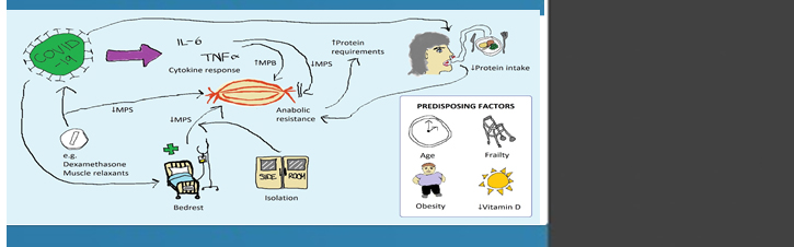 Pathological Mechanisms and Potential Therapeutic Targets of Pulmonary ...