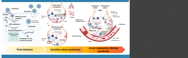 Low level of Vitamin C and dysregulation of Vitamin C transporter might ...